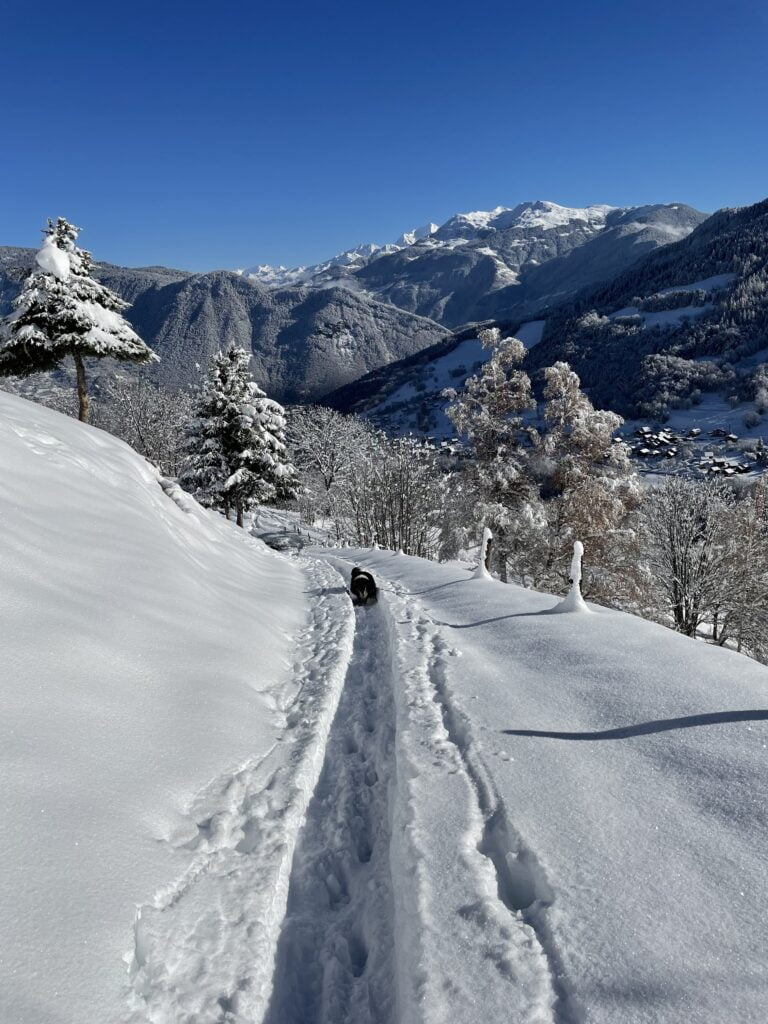 3 décembre 2023